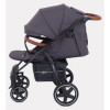 Коляска прогулочная Rant Alpine Star RA450 Moon Grey