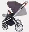 Коляска 2 в 1 Rant Flex RA070 Moon Grey