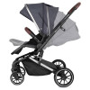 Коляска 2 в 1 Rant Brilliant RA010 Jet Carbon