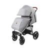 Коляска прогулочная Everflo Walker Е-480 silver grey