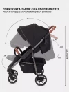 Коляска прогулочная Rant Vega RA057 2023 Black