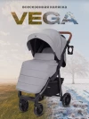 Коляска прогулочная Rant Vega RA057 2023 Grey