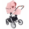 Коляска 2 в 1 Rant Flex RA070 Cloud Pink