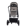 Коляска 2 в 1 Labala Raiz Light grey (07LGR)