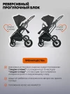 Коляска 2 в 1 Indigo Carry черный