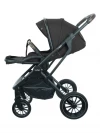 Коляска 2 в 1 Indigo Carry черный