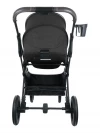 Коляска 2 в 1 Indigo Carry черный