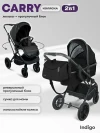 Коляска 2 в 1 Indigo Carry черный