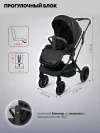 Коляска 2 в 1 Indigo Carry черный