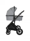 Коляска 2 в 1 Indigo Desire граффит