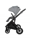 Коляска 2 в 1 Indigo Desire граффит
