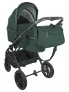 Коляска 2 в 1 Indigo Carry зеленый