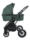 Коляска 2 в 1 Indigo Carry зеленый