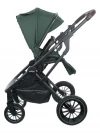 Коляска 2 в 1 Indigo Carry зеленый