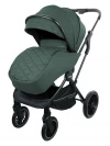 Коляска 2 в 1 Indigo Carry зеленый