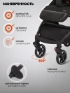 Коляска прогулочная Indigo Onyx черный