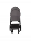 Коляска 2 в 1 Moon Style Anthrazit RU544
