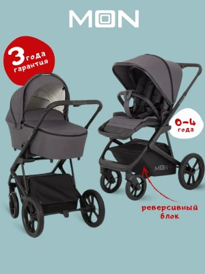 Коляска 2 в 1 Moon Style Anthrazit RU544