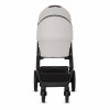 Коляска 2 в 1 Moon Style Ice RU577