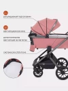 Коляска 3 в 1 Rant Falcon RA098 Pink