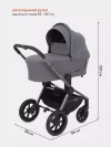 Коляска 3 в 1 Rant Flex Pro RA075 Grey