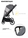 Коляска прогулочная Indigo Delta черный