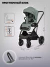 Коляска 3 в 1 Indigo Desire зеленый