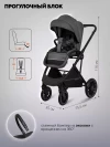 Коляска 3 в 1 Indigo Desire граффит