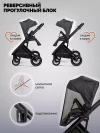 Коляска 3 в 1 Indigo Desire граффит