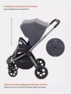 Коляска прогулочная Rant Flex Pro RA099 Graphite 