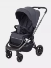 Коляска прогулочная Rant Flex Pro RA099 Graphite 