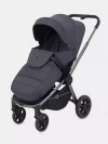 Коляска прогулочная Rant Flex Pro RA099 Graphite 