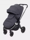 Коляска прогулочная Rant Flex Pro RA099 Graphite 