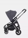 Коляска прогулочная Rant Flex Pro RA099 Graphite 