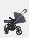 Коляска прогулочная Rant Flex Pro RA099 Graphite 