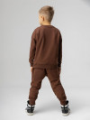 Костюм (Цвет коричневый, Размер 98-104), 11-507U