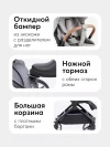 Коляска прогулочная Happy Baby Celine Grey
