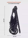 Коляска 2 в 1 Rant Vector RA322 Black