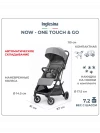 Коляска прогулочная Inglesina Now Snap grey