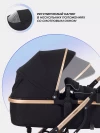 Коляска-трансформер Rant Pulsar RA160 2 в 1 з/р Black