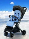 Коляска прогулочная Palankin Teo синий