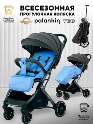 Коляска прогулочная Palankin Teo синий