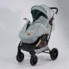 Коляска прогулочная Ining Baby F7 Pro Green