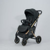 Коляска прогулочная Ining Baby F7 Pro Black