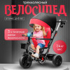 Велоколяска Skillmax LSX black/red