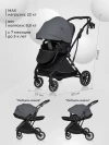 Коляска прогулочная Farfello Fest Lux Dark grey