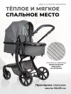 Коляска-трансформер Farfello Aimile Original Autumn 2 в 1 Dark grey