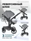 Коляска-трансформер Farfello Aimile Original Autumn 2 в 1 Dark grey