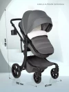 Коляска-трансформер Farfello Aimile Original Autumn 2 в 1 Dark grey