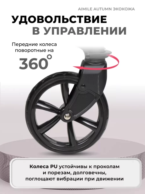 Коляска-трансформер Farfello Aimile Original Autumn 2 в 1 Dark grey